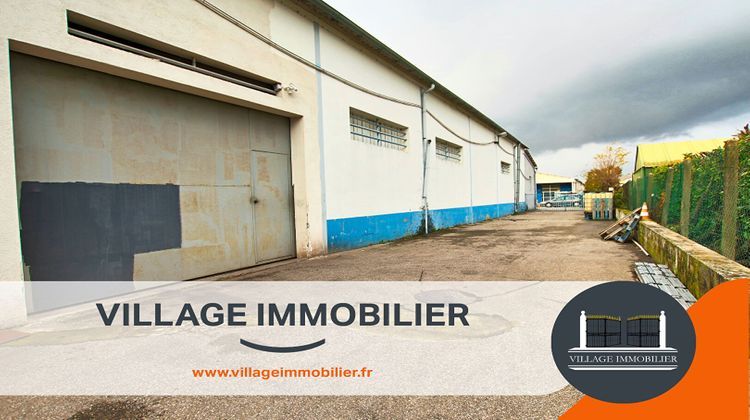 Ma-Cabane - Vente Local commercial SAINT-PIERRE-DE-CHANDIEU, 257 m²