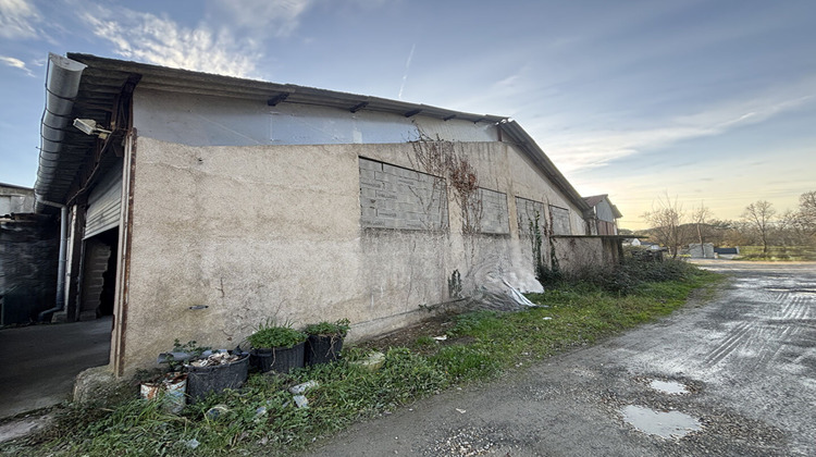 Ma-Cabane - Vente Local commercial SAINT-SEURIN-SUR-L'ISLE, 438 m²