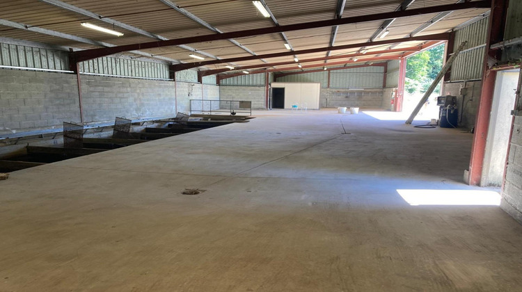 Ma-Cabane - Vente Local commercial Saint-Sulpice-les-Feuilles, 2618 m²