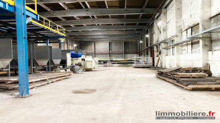 Ma-Cabane - Vente Local commercial Sainte-Marie-aux-Mines, 7176 m²