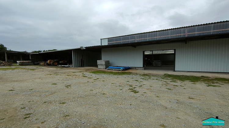 Ma-Cabane - Vente Local commercial SAINTE-PAZANNE, 300 m²