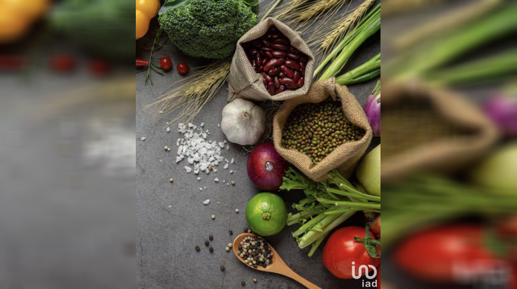 Ma-Cabane - Vente Local commercial Salavas, 100 m²