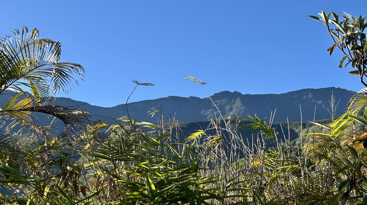 Ma-Cabane - Vente Local commercial Salazie, 231 m²