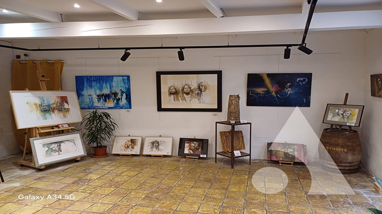 Ma-Cabane - Vente Local commercial SALERNES, 42 m²