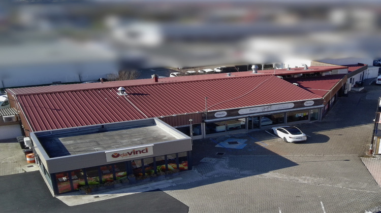 Ma-Cabane - Vente Local commercial Sarre-Union, 667 m²