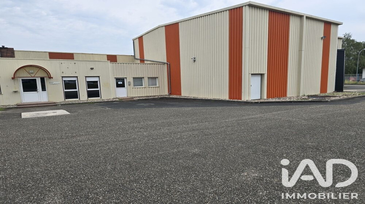 Ma-Cabane - Vente Local commercial Sarrebourg, 1400 m²