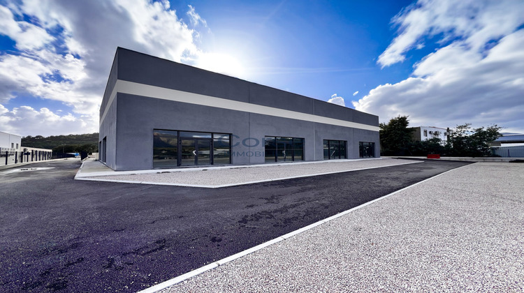 Ma-Cabane - Vente Local commercial Sarrola-Carcopino, 52 m²