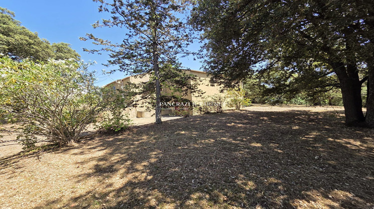 Ma-Cabane - Vente Local commercial Sarrola-Carcopino, 190 m²