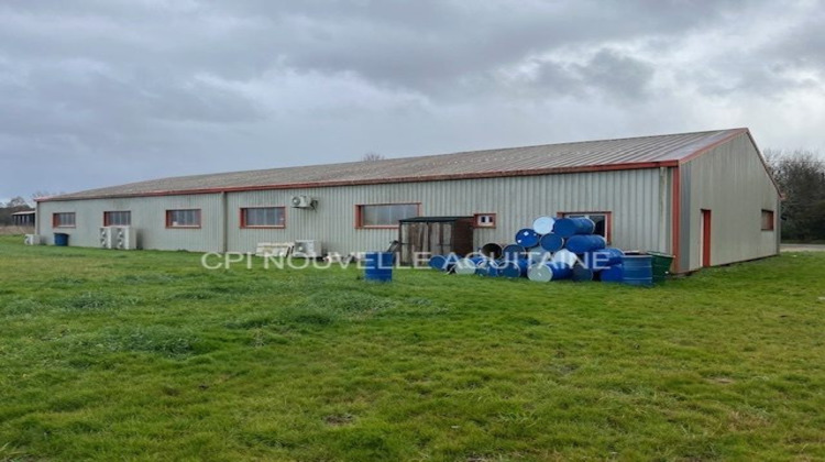 Ma-Cabane - Vente Local commercial Savignac, 550 m²