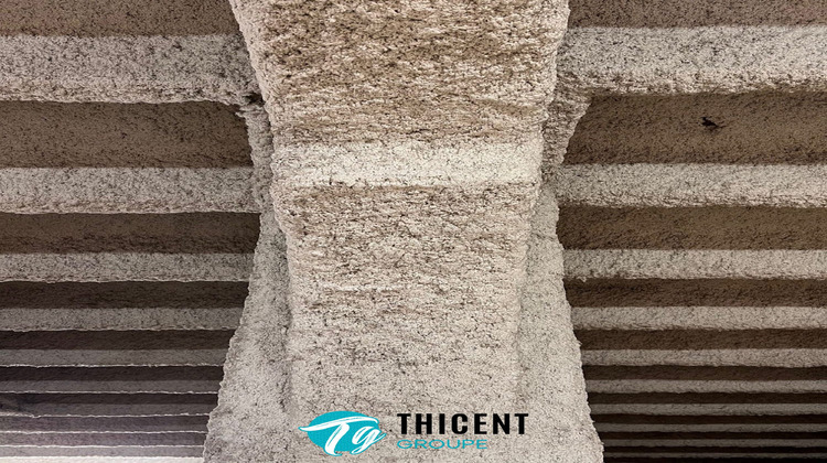 Ma-Cabane - Vente Local commercial Schiltigheim, 744 m²