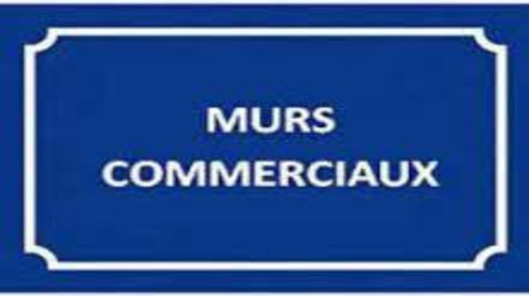 Ma-Cabane - Vente Local commercial SCIEZ, 244 m²