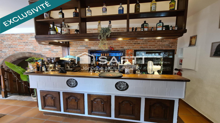 Ma-Cabane - Vente Local commercial Selestat, 158 m²