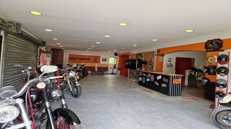 Ma-Cabane - Vente Local commercial SELLES-SUR-CHER, 244 m²