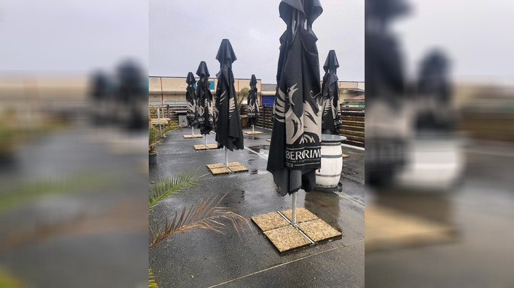 Ma-Cabane - Vente Local commercial Semeac, 250 m²