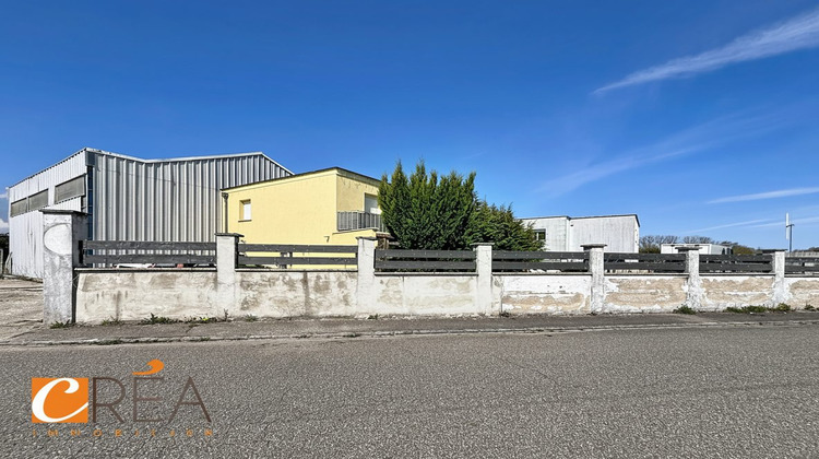 Ma-Cabane - Vente Local commercial Soppe-le-Bas, 300 m²