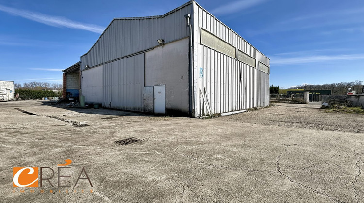 Ma-Cabane - Vente Local commercial Soppe-le-Bas, 300 m²