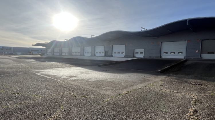 Ma-Cabane - Vente Local commercial Souffelweyersheim, 2994 m²