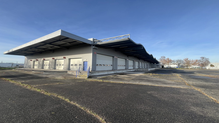 Ma-Cabane - Vente Local commercial Souffelweyersheim, 2994 m²