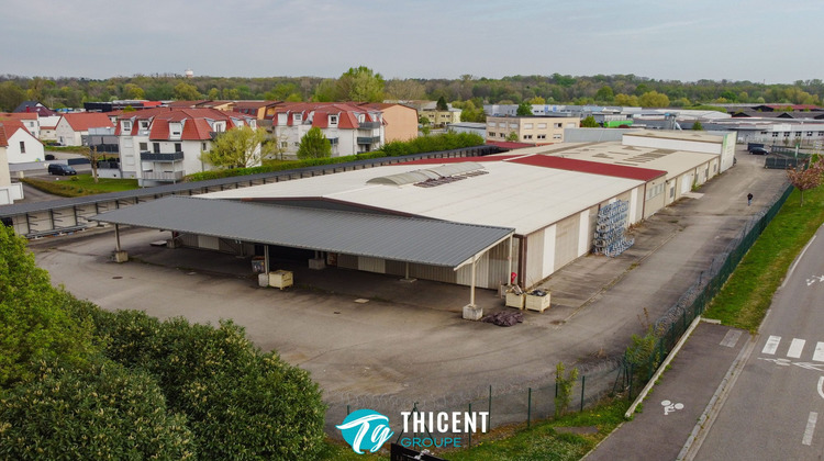 Ma-Cabane - Vente Local commercial Soufflenheim, 3140 m²