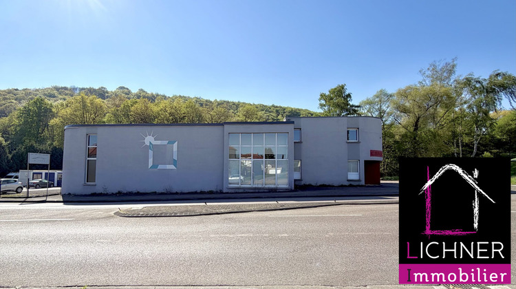 Ma-Cabane - Vente Local commercial Spicheren, 626 m²
