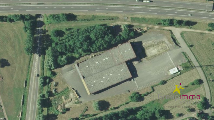 Ma-Cabane - Vente Local commercial Steinbourg, 4200 m²