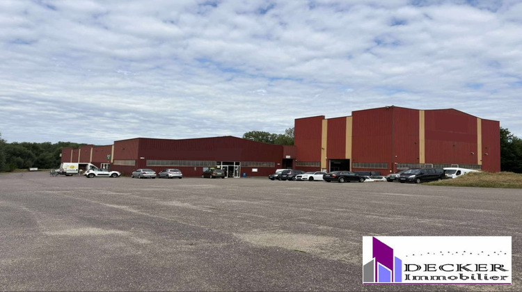 Ma-Cabane - Vente Local commercial Steinbourg, 4000 m²