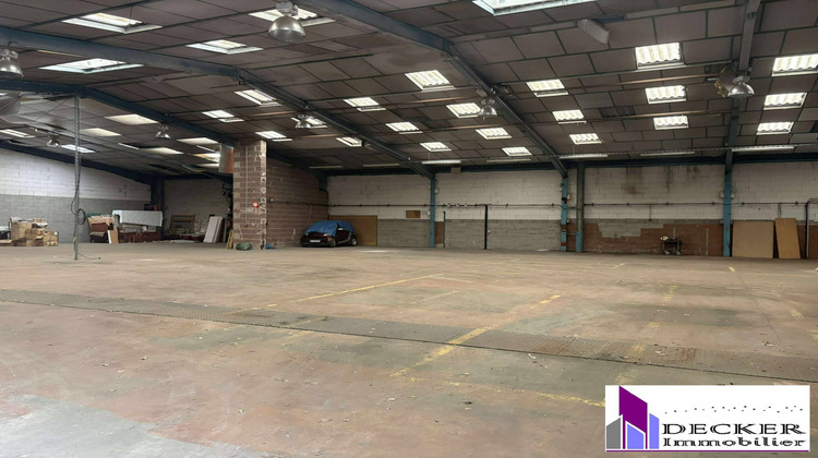 Ma-Cabane - Vente Local commercial Steinbourg, 4000 m²