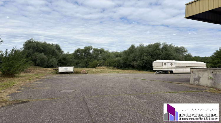 Ma-Cabane - Vente Local commercial Steinbourg, 4000 m²