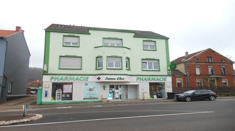 Ma-Cabane - Vente Local commercial STIRING-WENDEL, 490 m²