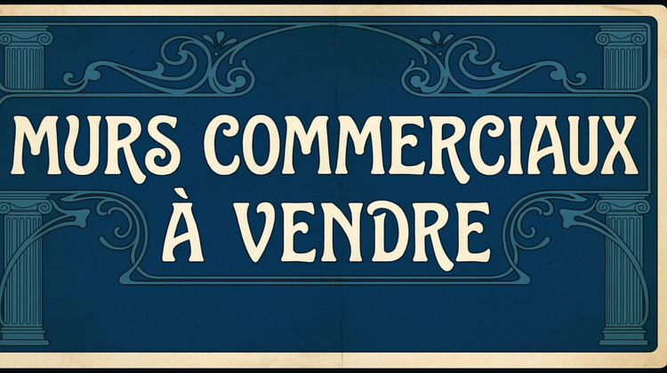 Ma-Cabane - Vente Local commercial Strasbourg, 136 m²