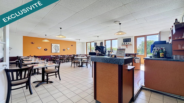 Ma-Cabane - Vente Local commercial Taingy, 130 m²