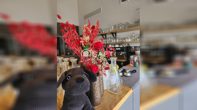 Ma-Cabane - Vente Local commercial Talmont-Saint-Hilaire, 228 m²