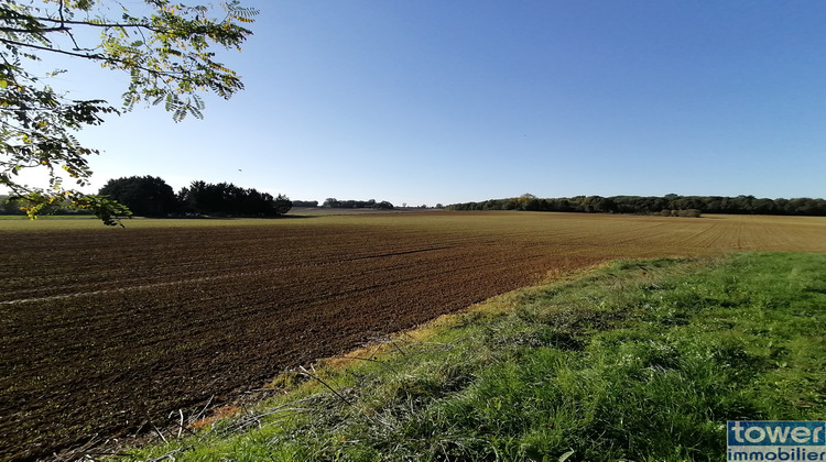 Ma-Cabane - Vente Local commercial Toulouse, 2925 m²