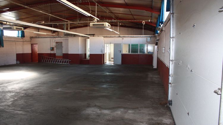 Ma-Cabane - Vente Local commercial TOULOUSE, 812 m²
