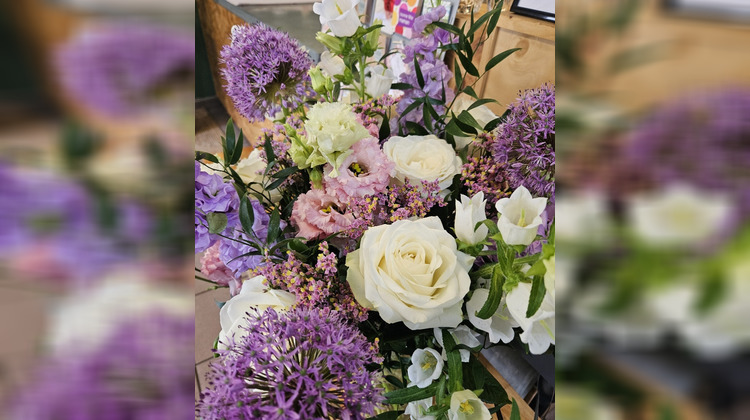 Ma-Cabane - Vente Local commercial Tournon-sur-Rhône, 36 m²