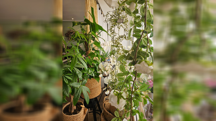 Ma-Cabane - Vente Local commercial Tournon-sur-Rhône, 36 m²