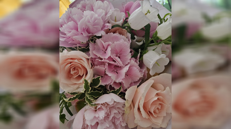 Ma-Cabane - Vente Local commercial Tournon-sur-Rhône, 36 m²