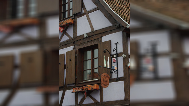 Ma-Cabane - Vente Local commercial Traenheim, 810 m²