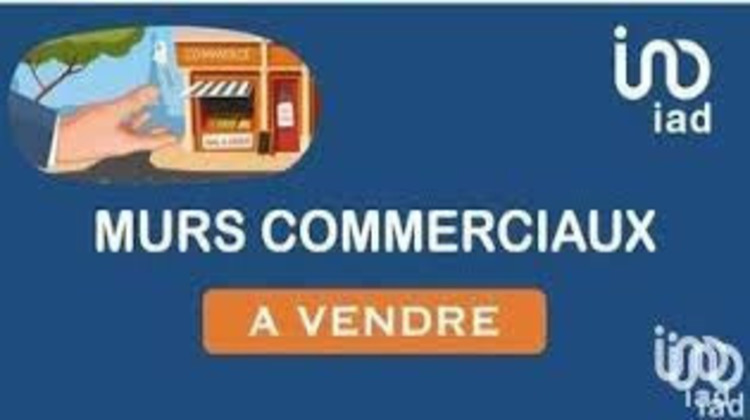 Ma-Cabane - Vente Local commercial Trèbes, 850 m²