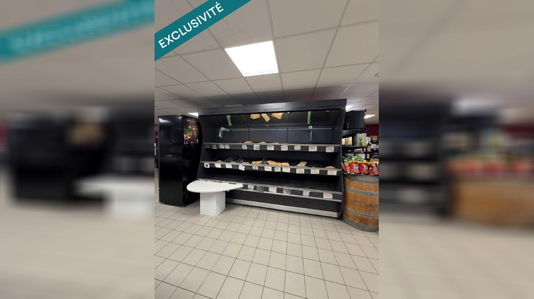 Ma-Cabane - Vente Local commercial Treize-Septiers, 200 m²