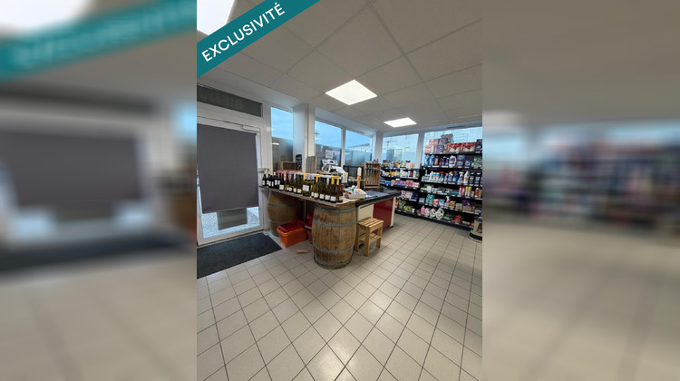Ma-Cabane - Vente Local commercial Treize-Septiers, 370 m²