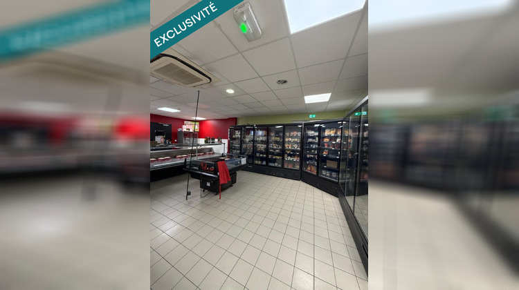 Ma-Cabane - Vente Local commercial Treize-Septiers, 370 m²