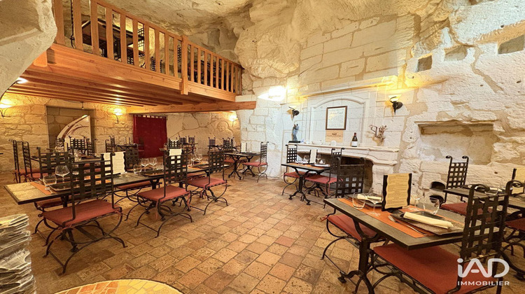 Ma-Cabane - Vente Local commercial Turquant, 400 m²