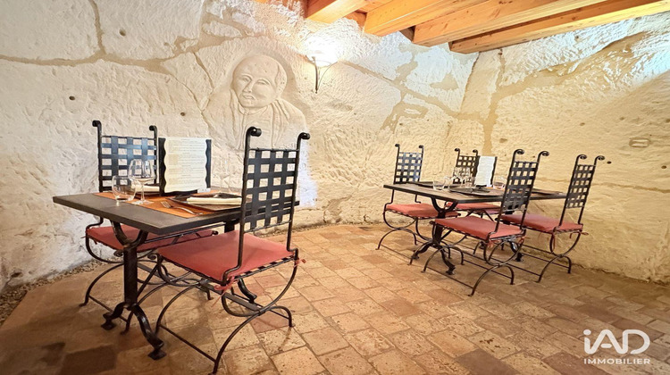 Ma-Cabane - Vente Local commercial Turquant, 400 m²