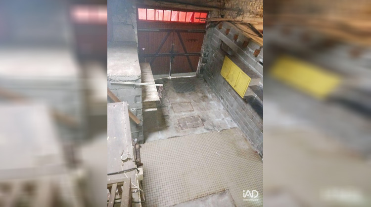 Ma-Cabane - Vente Local commercial Usson-du-Poitou, 130 m²