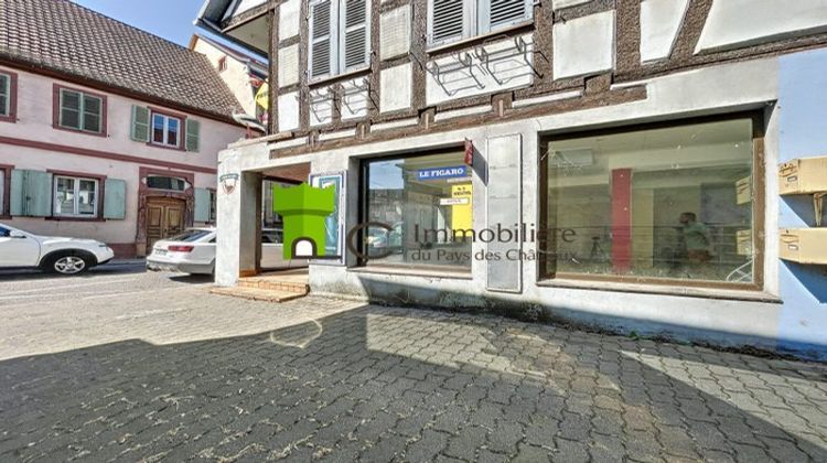 Ma-Cabane - Vente Local commercial Val-de-Moder, 177 m²