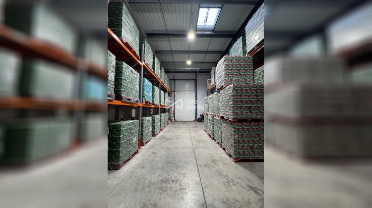 Ma-Cabane - Vente Local commercial Valergues, 568 m²