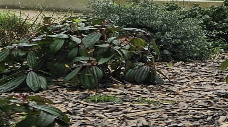 Ma-Cabane - Vente Local commercial Vannes, 112 m²