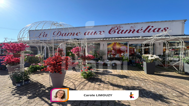 Ma-Cabane - Vente Local commercial Vierzon, 239 m²