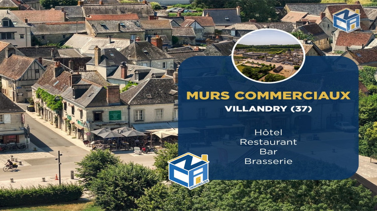 Ma-Cabane - Vente Local commercial Villandry, 764 m²